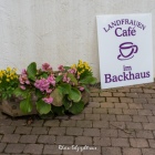 dexheim_backhaus-3070595.jpg