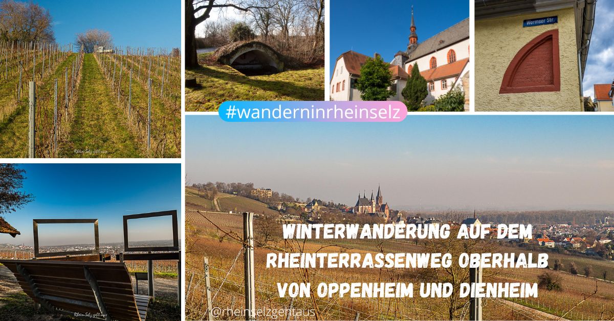 Rheinterrassenweg_OppenheimDienheim