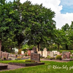 image de Friedhof