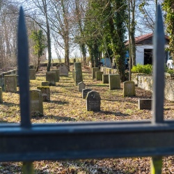 image de Der jüdische Friedhof